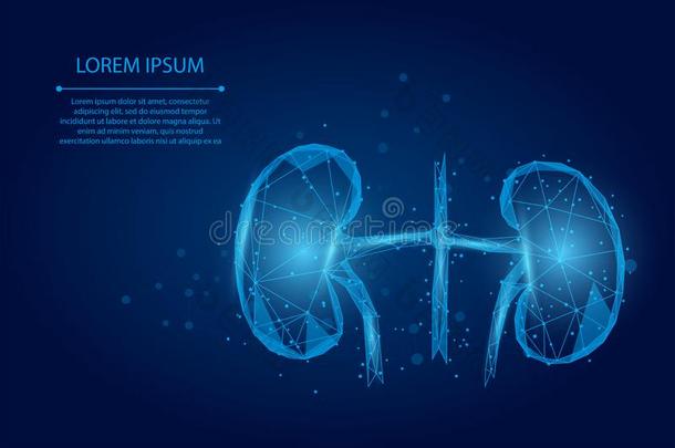 抽象的麦芽浆线条和点人肾形矿脉.泌尿学体系医生