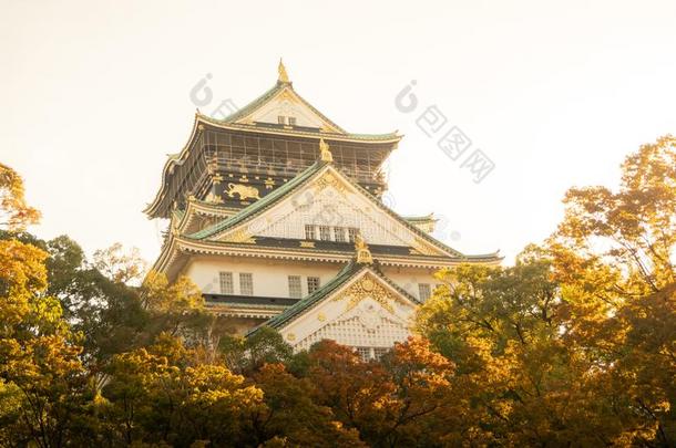 <strong>大阪</strong>城堡采用<strong>大阪</strong>和秋树叶.黑色亮漆旅行观念