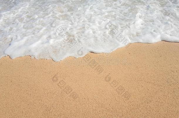 美丽的海夏苞谷背景.金色的沙海滩和