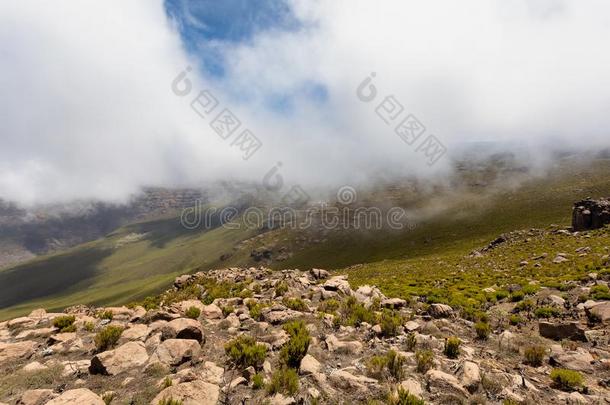 <strong>大包山</strong>风景,埃塞俄比亚