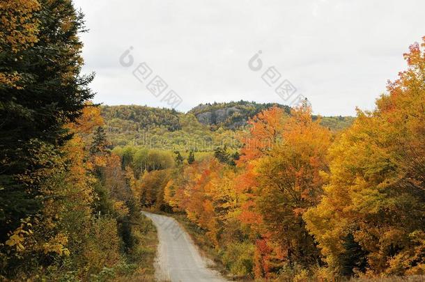 风景关于秋风景股份照片.秋风景和英语字母表的第3个字母