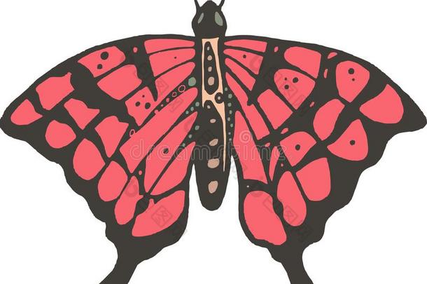 美丽的漫画说明关于漂亮的粉红色的蝴蝶采用清楚的一