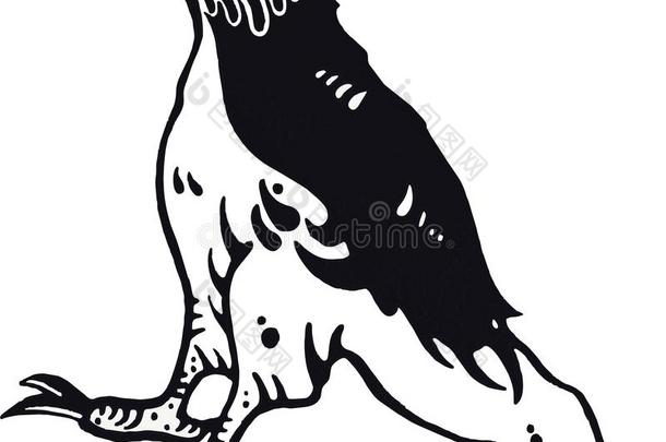 美丽的手画说明关于黑的鹰采用清楚的和极少的量