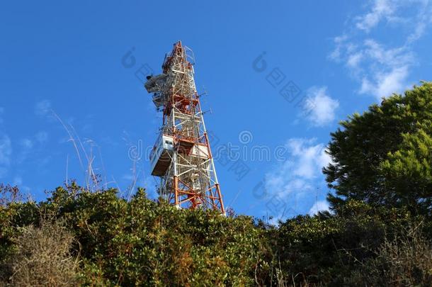 电的极点和绝缘、隔热或隔音等的物质或装置和金属丝通过哪一个现在的flores花