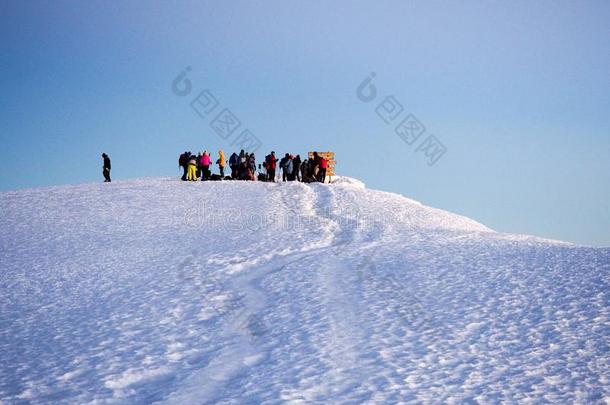 远足者向指已提到的人背脊攀登登上<strong>乞力马扎罗山</strong>指已提到的人高的山峰采用