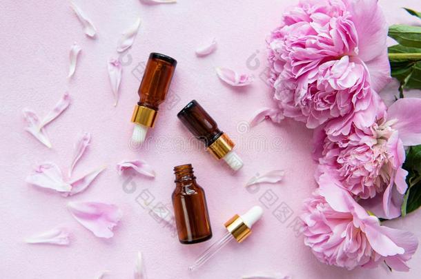 芳香疗法必需品油画颜料和粉红色的牡丹
