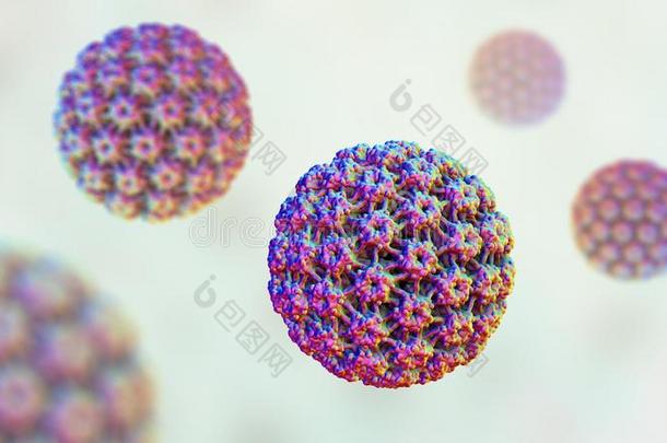 人乳头多瘤空泡病毒组病毒,分子的模型
