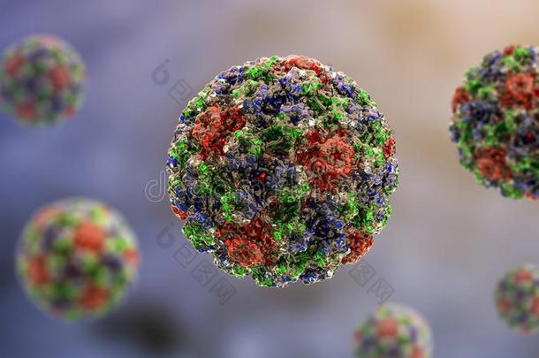 人乳头多瘤空泡病毒组病毒,分子的模型