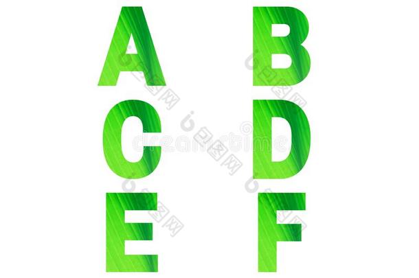 绿色的字体字母表一,英语字母表的第2个字母,英语字母表的第3个字母,英语字母表中的第四个字母,英语字母表的第5个字母,英语字母表