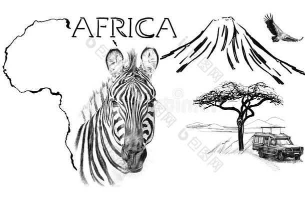斑马肖像向非洲地图背景和<strong>乞力马扎罗山</strong>莫泰