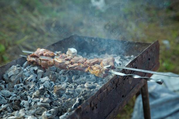 促进食欲的卢拉烤腌羊肉串烤的向金属串肉杆.手和吞