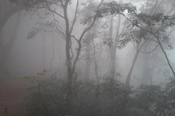 风景关于目标和温室