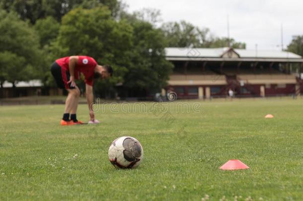 专业的足球足球训练使用圆锥细胞和有关运动的balancing平衡