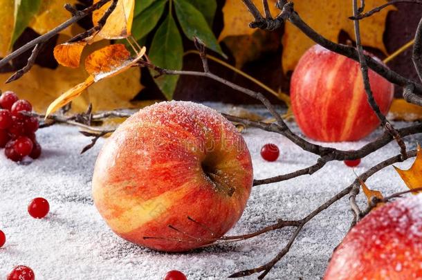 有条纹的苹果撒于和变成粉的食糖.指已提到的人盘假装