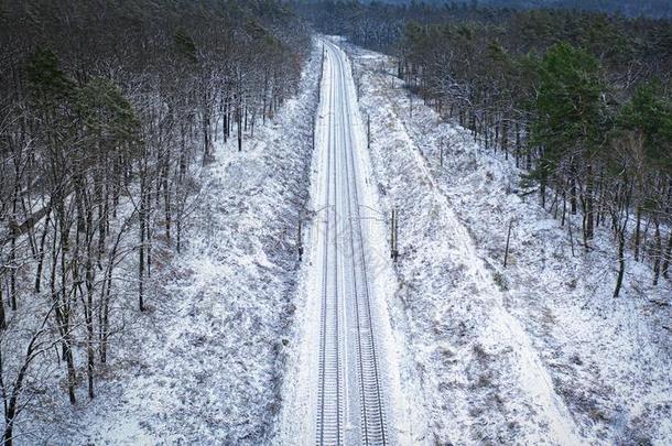 雪-大量的铁路跑通过一松树森林.