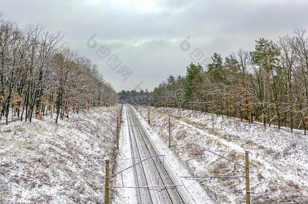 雪-大量的铁路跑通过一松树森林.