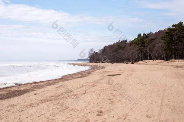 无人居住的海岸关于指已提到的人波罗的海的海