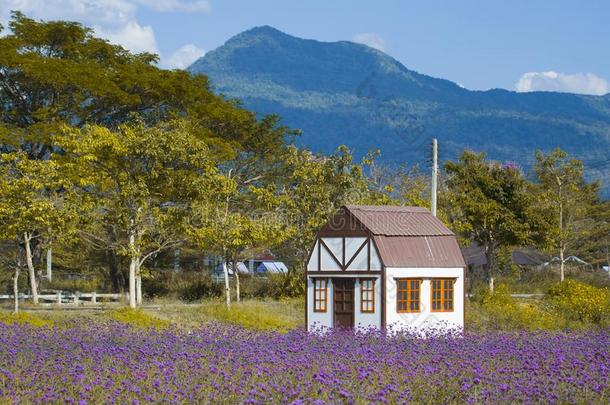 袖珍型的东西谷仓房屋和美丽的风景看法采用马鞭草属植物芭蕉