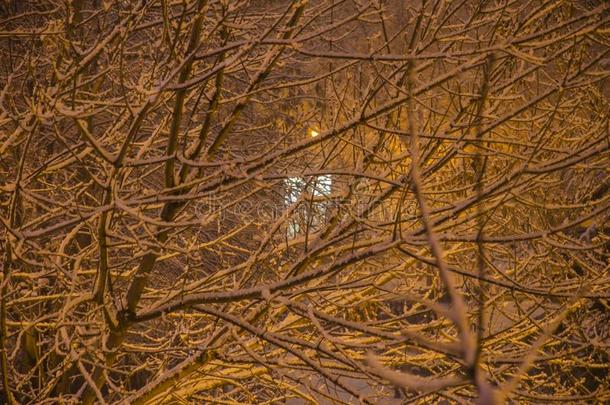 寒冷的雪夜和暖和的家