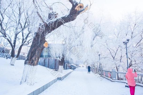 结晶不中松花江河,吉林城市,吉林省份,中国