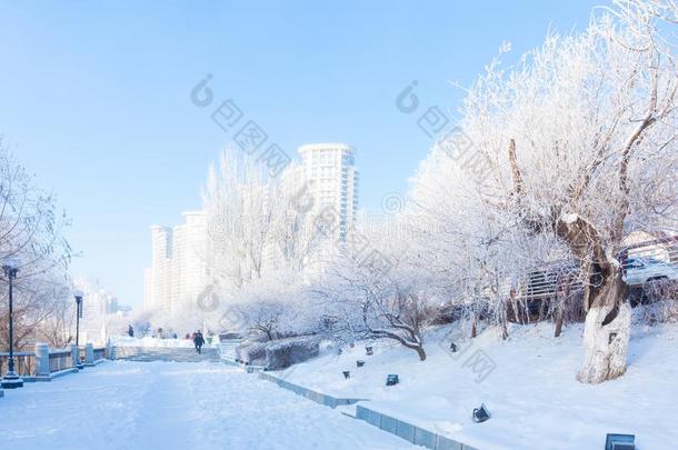 结晶不中松花江河,吉林城市,吉林省份,中国