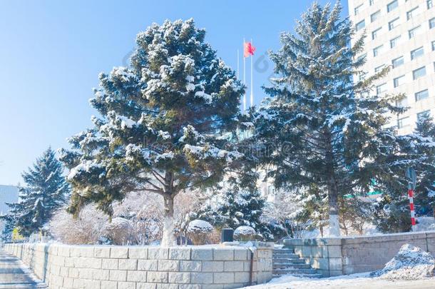 结晶不中松花江河,吉林城市,吉林省份,中国