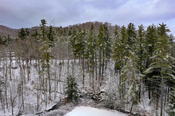 下雪的佛蒙特绵羊乡下的风景