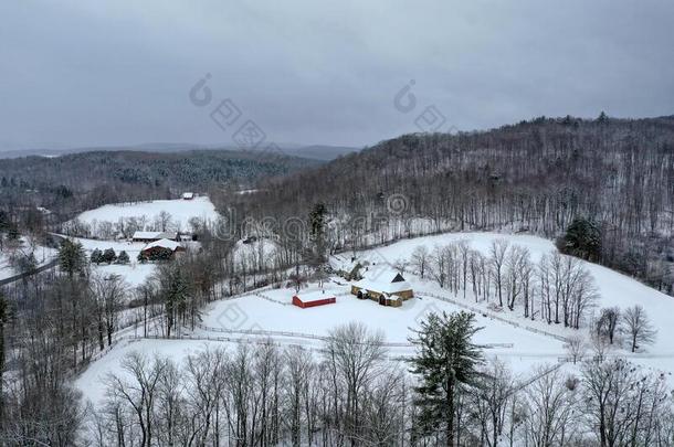 下雪的佛蒙特绵羊乡下的风景