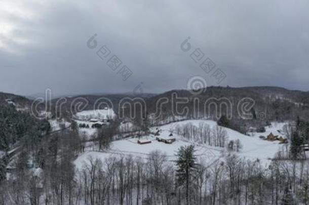 下雪的佛蒙特绵羊乡下的风景