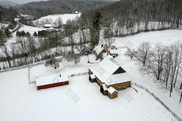 下雪的佛蒙特绵羊乡下的风景