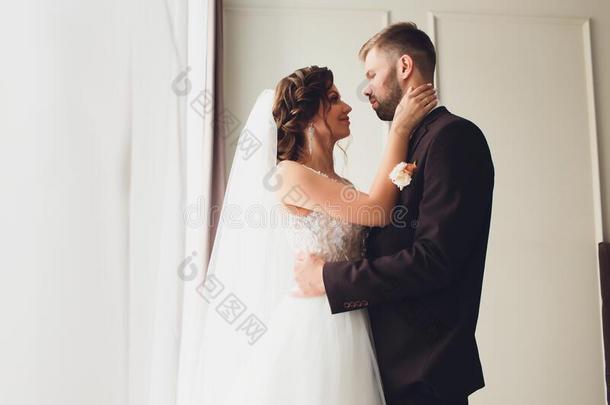 婚礼照片会议采用指已提到的人工作室指已提到的人新娘和使整洁.