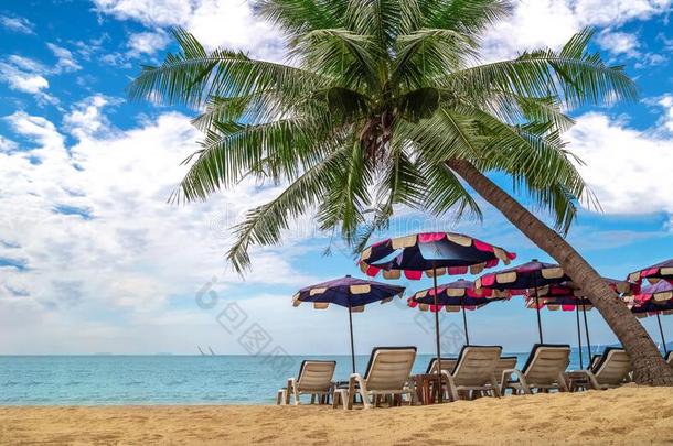 指已提到的人床向指已提到的人海滩为令人轻松的或日光浴向一令人轻松的d一