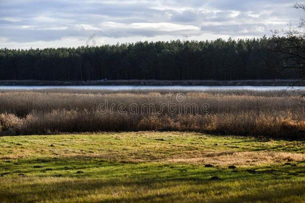 乡下的秋风景.乡下的秋风景