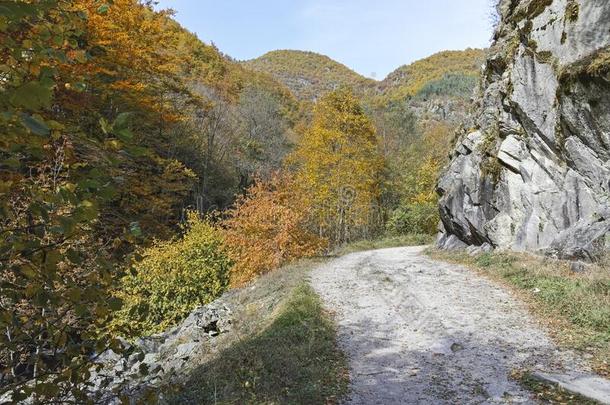 结构economy经济小路在德温绰号河山峡,罗多彼山脉山