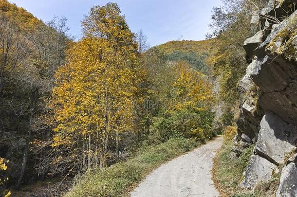 结构economy经济小路在德温绰号河山峡,罗多彼山脉山