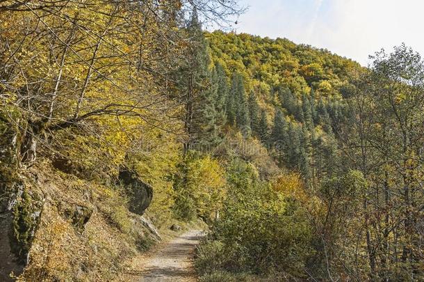 结构economy经济小路在德温绰号河山峡,罗多彼山脉山