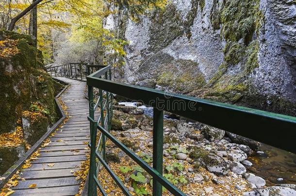 结构economy经济小路在德温绰号河山峡,罗多彼山脉山