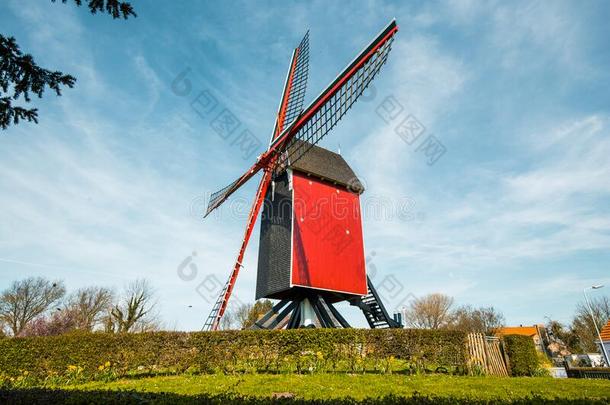 传统的红色的木制的风车反对蓝色天