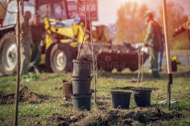 种植新的树和园艺工具采用绿色的公园