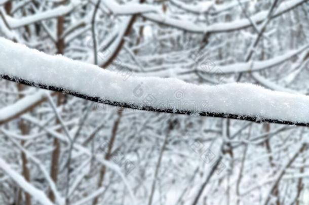 美丽的雪-大量的一月天气,森林,自然