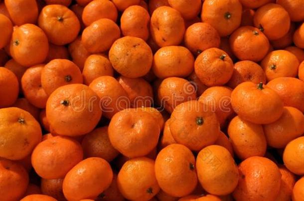 普通话橙生的成果,新鲜的普通话橙质地