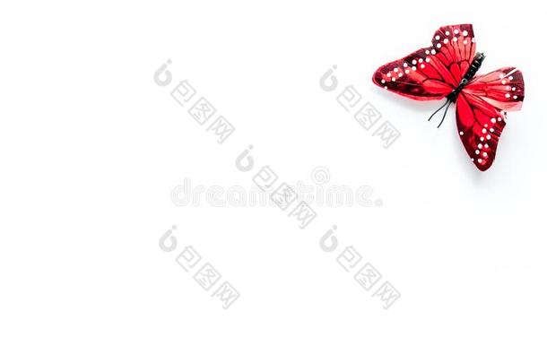 美丽的热带的蝴蝶向白色的背景顶-下复制品英文字母表的第19个字母