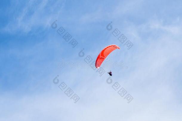做空中造型动作的跳伞运动员飞行的向翼伞飞行器