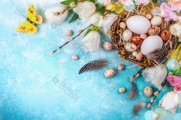 复活节作品和复活节卵采用窝,猫咪柳树布兰切