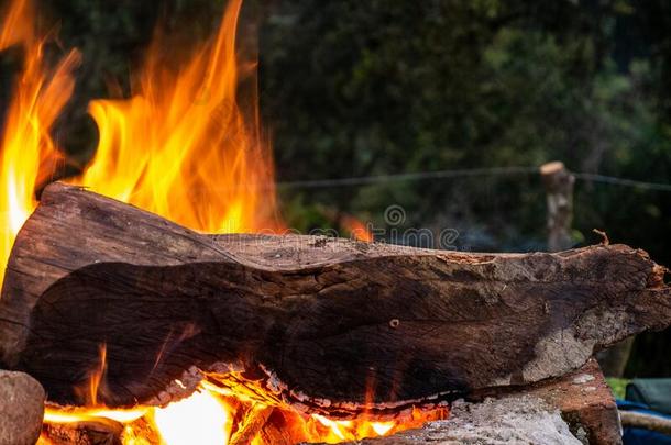 木材燃烧的采用营火向砖1