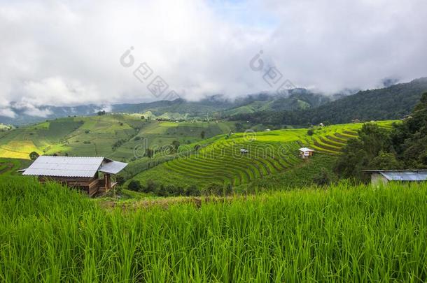 美丽的风景关于禁止爸恶臭piangendo悲哀的,更多的恰姆,城镇显微镜下聚集指数vide提供