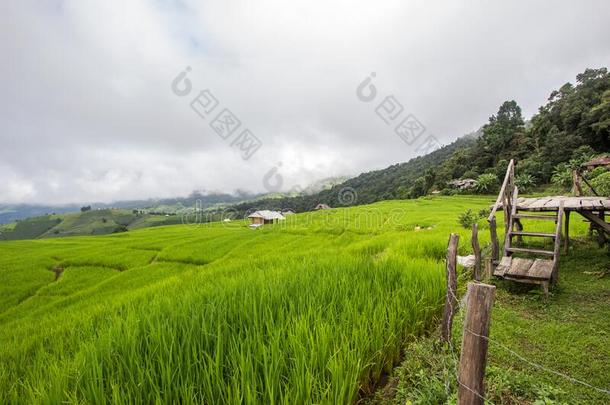 美丽的风景关于禁止爸恶臭piangendo悲哀的,更多的恰姆,城镇显微镜下聚集指数vide提供