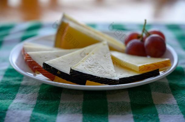 奶酪收集,多样关于西班牙的人名奶酪使从