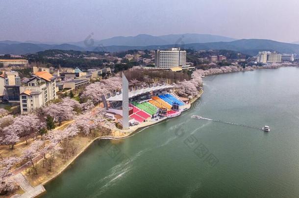 空气的看法关于樱桃花盛开的采用波蒙公园,庆州,