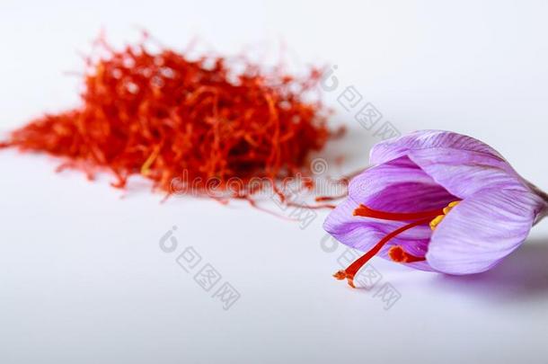 新鲜的藏红花花向一b一ckground关于干燥的藏红花向一白色的